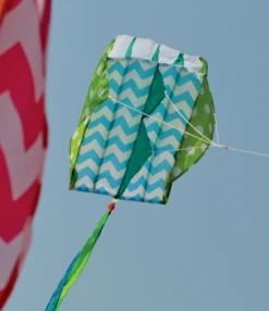 Parafoil 2 Kite - Quirky Cool 5 Parafoil 2 Kite - Quirky Cool -Kite Shop 12096 QuirkyCool location