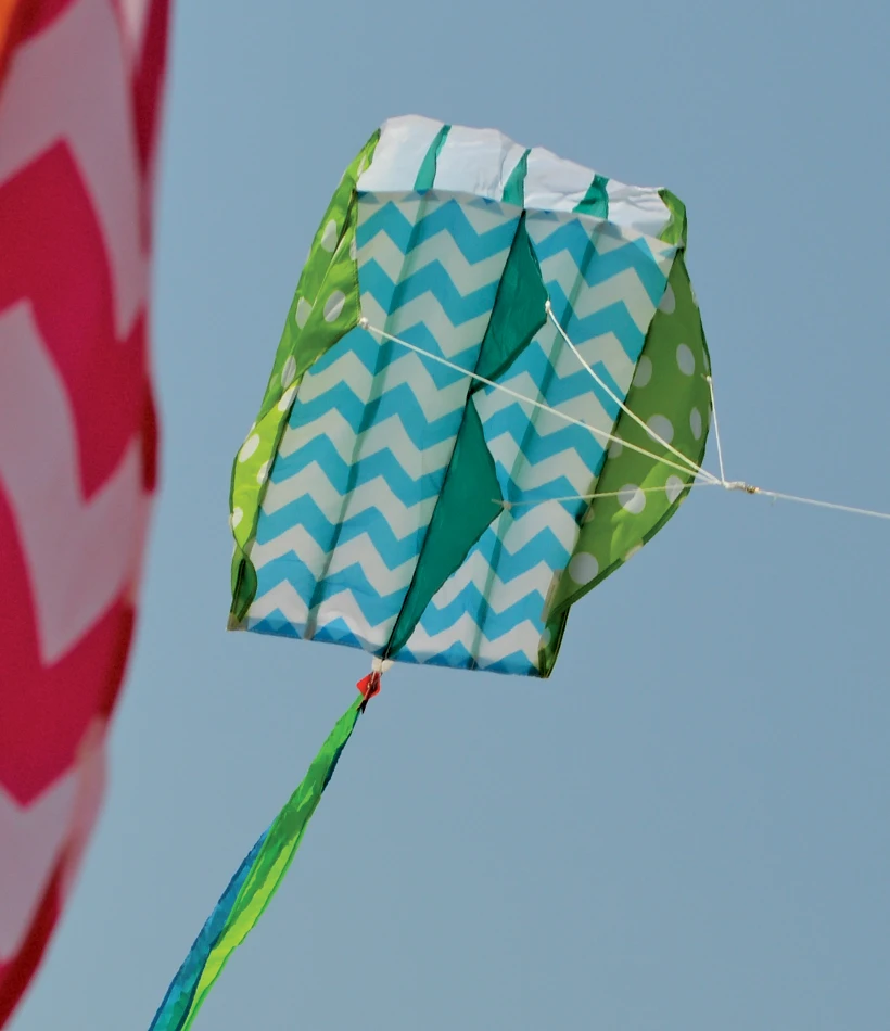 Parafoil 2 Kite - Quirky Cool 3 Parafoil 2 Kite - Quirky Cool - Image 3