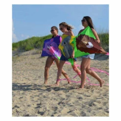 30 In. Diamond Kite - Lion -Kite Shop 15275 3