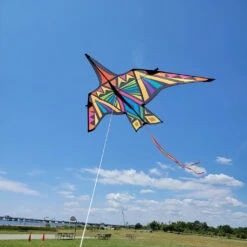 Thunderbird Kite - 16 Ft. Rainbow Geometric -Kite Shop 16141 3 1024