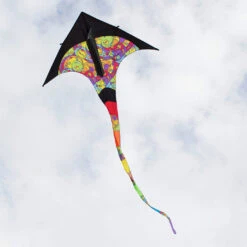 T-Delta Kite - Rainbow Orbit -Kite Shop 33064 1024