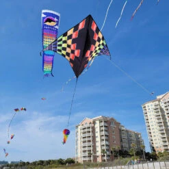 Gyro Delta Kite - Rainbow Checks -Kite Shop 33076p Rainbow Checks Gyro Delta location 1024