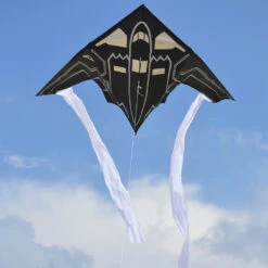 56 In. Delta Kite - Stealth Bomber -Kite Shop 33193 1024