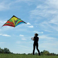 9 Ft. Delta Kite - Rainbow Orbit -Kite Shop 33201 2