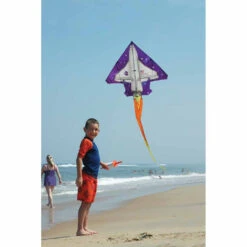 2D Jet Kite - Space Shuttle -Kite Shop 41902 2
