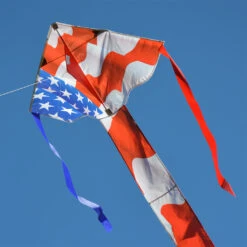 Regular Easy Flyer Kite - Patriotic -Kite Shop 44007 1024