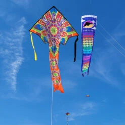 Large Easy Flyer Kite - Mandala 7 Large Easy Flyer Kite - Mandala -Kite Shop 44093p Mandala LGEZ location 2 1024
