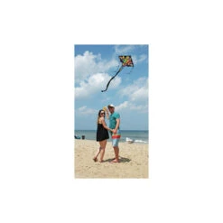 Jumbo Easy Flyer Kite - Rainbow Orbit -Kite Shop 44293 2
