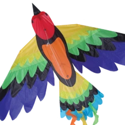 Rainbow Bird Kite