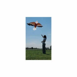Bald Eagle Kite -Kite Shop 44933 2