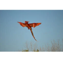 3D Dragon Kite - Emberscale -Kite Shop 46211 3 1024
