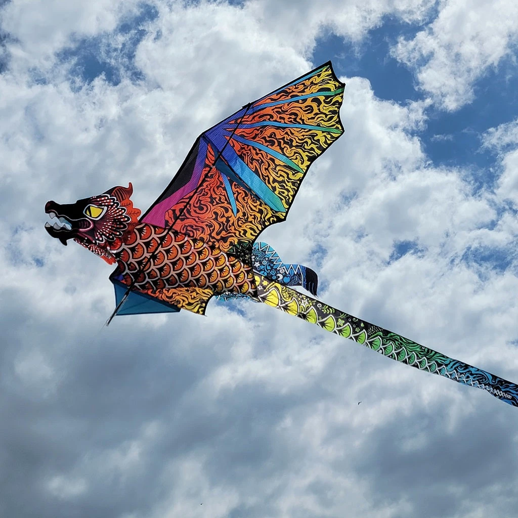 3D Dragon Kite - Night Fire 2 3D Dragon Kite - Night Fire - Image 2
