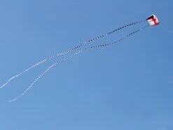 5 In. X 100 Ft. Transition Tail - Black/White